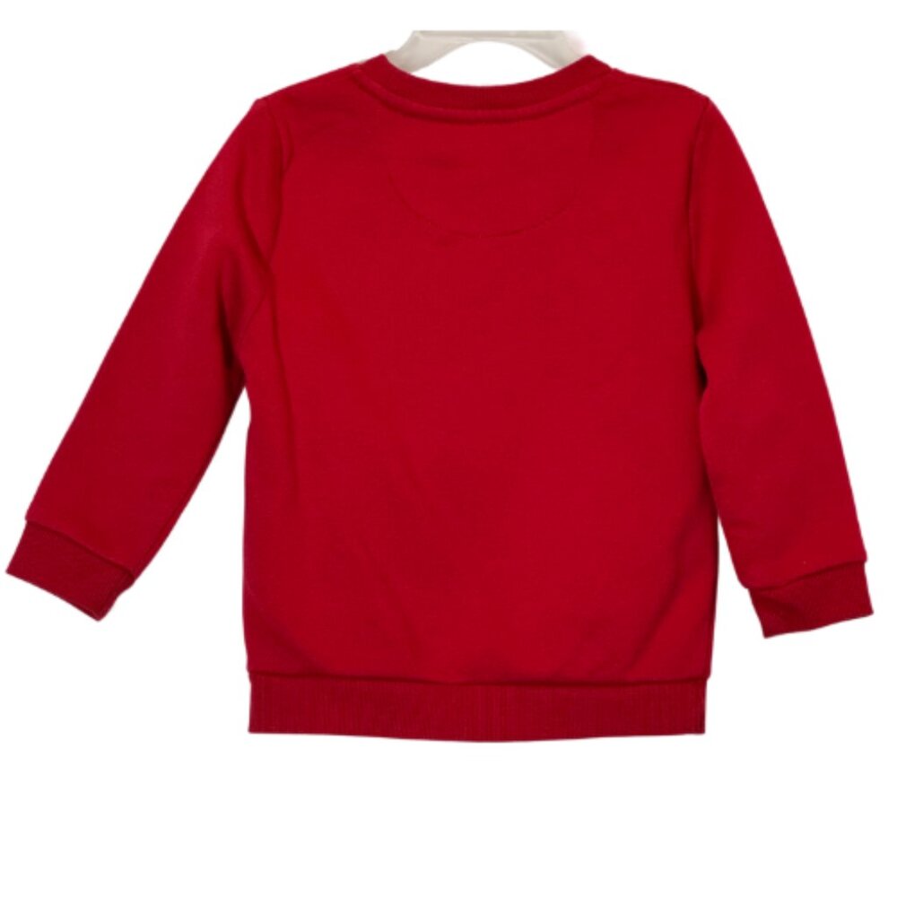 Boy's Sweatshirts Set of 3 Size 2-3Y - Picture 13 of 13